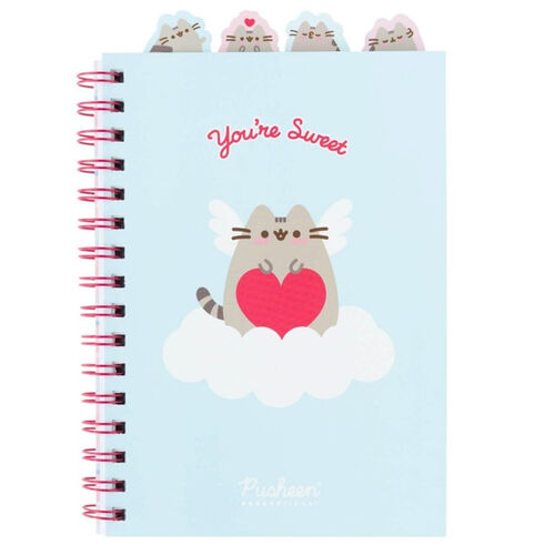 Cuaderno A5 de amor perfecto de Erik Pusheen