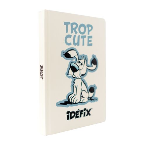 Cuaderno Erik Astérix y Obélix - Cuaderno premium Ideafix A5