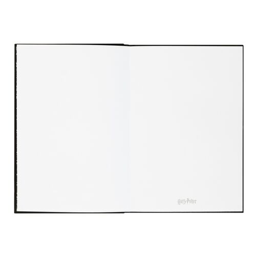Cuaderno LED premium + bolígrafo Erik Caderno Harry Potter Lumos A5