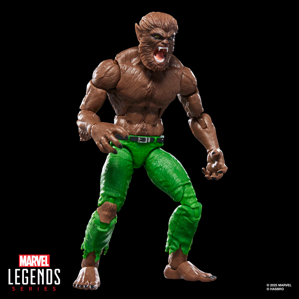 Hasbro Figura Werewolf By Night Marvel Legends Series 15cm