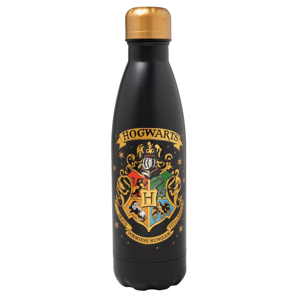 Erik Garrafa de aço inoxidável Hogwarts Harry Potter 500ml