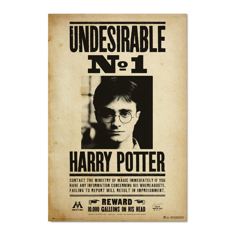 Erik Poster Indesejável Número 1 Harry Potter