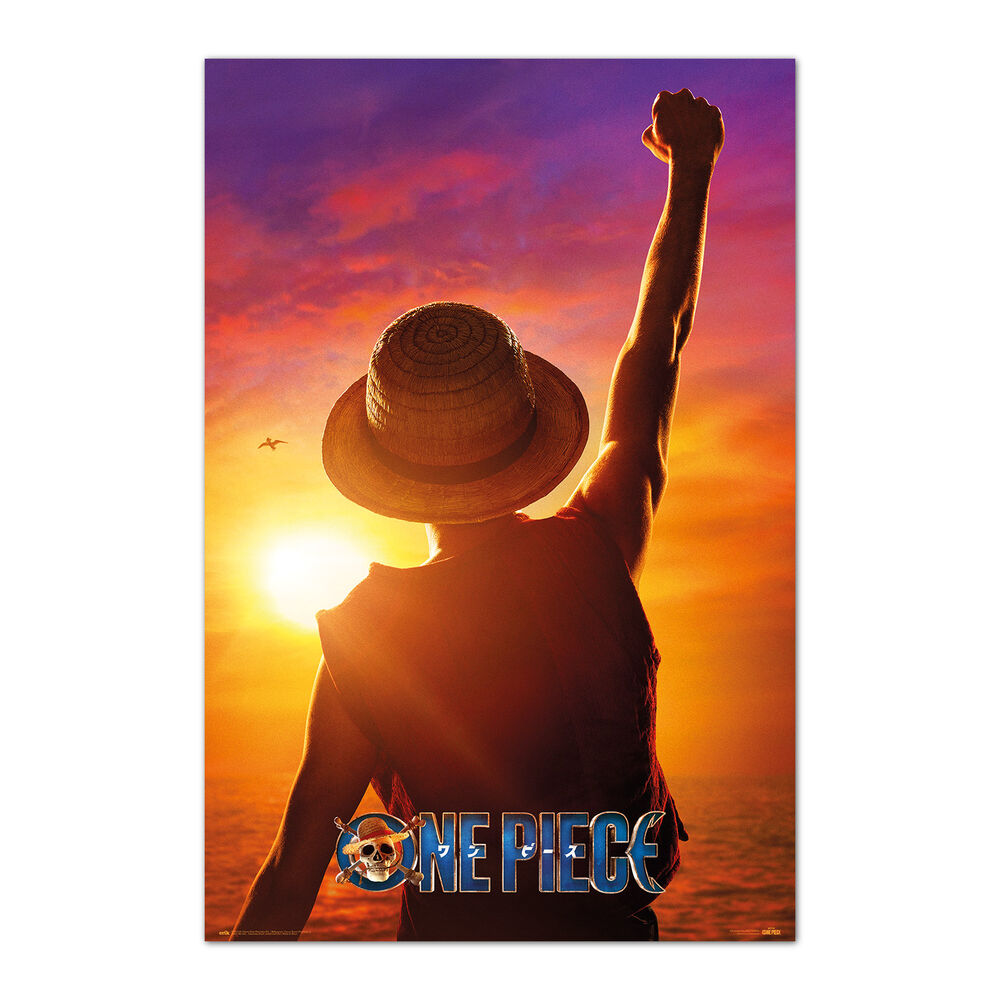 Erik Poster Monkey D. Luffy One Piece